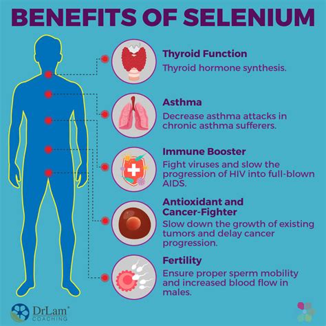 selenium sex video|7 Science.